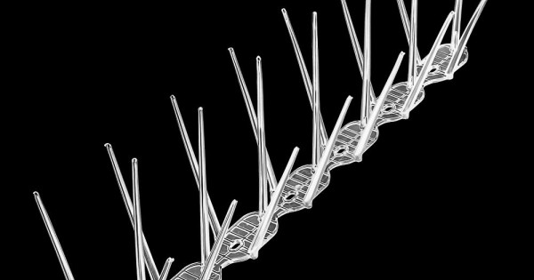 Шипове за Птици поликарбонат 3 редови, 150 бр. - 50 метра — оферта от newfresh.org